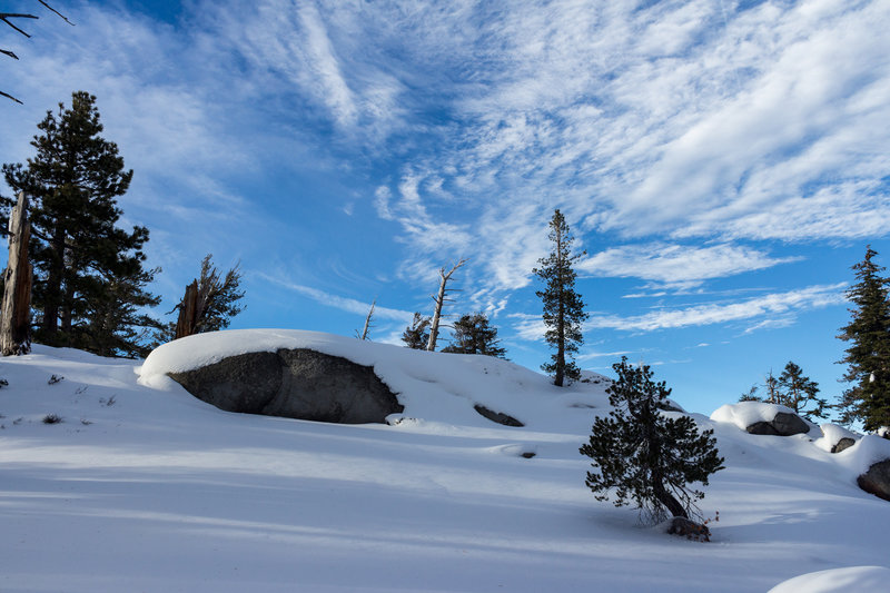 Snow covered Eagle Falls Trail near the Bayview Trail junction