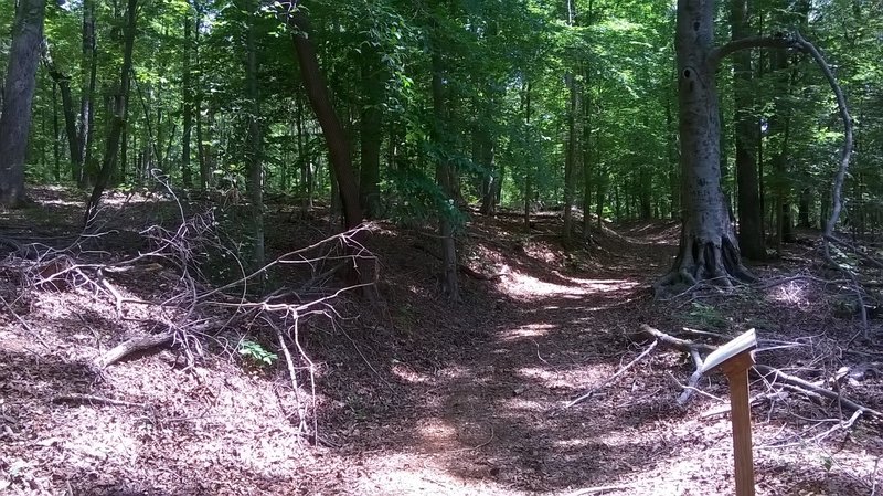 Panhandle Multi-use Trail terminus