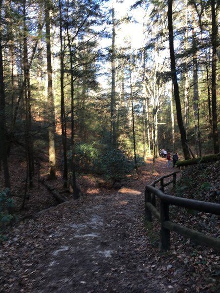 Original Trail up to Natural Bridge