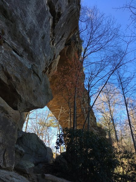 View under Natural Bridge from Original Trail