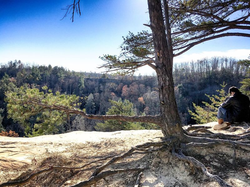 View of the Natural Bridge from The Overlook