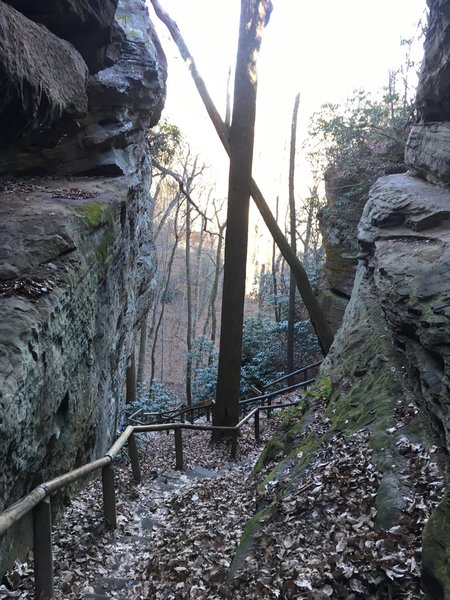 View down Devil's Gulch