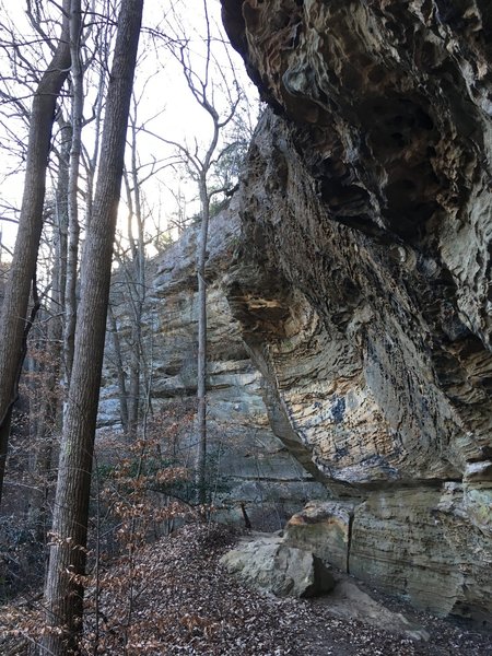 Skirting the edge of the cliffline on Battleship Rock Trail.