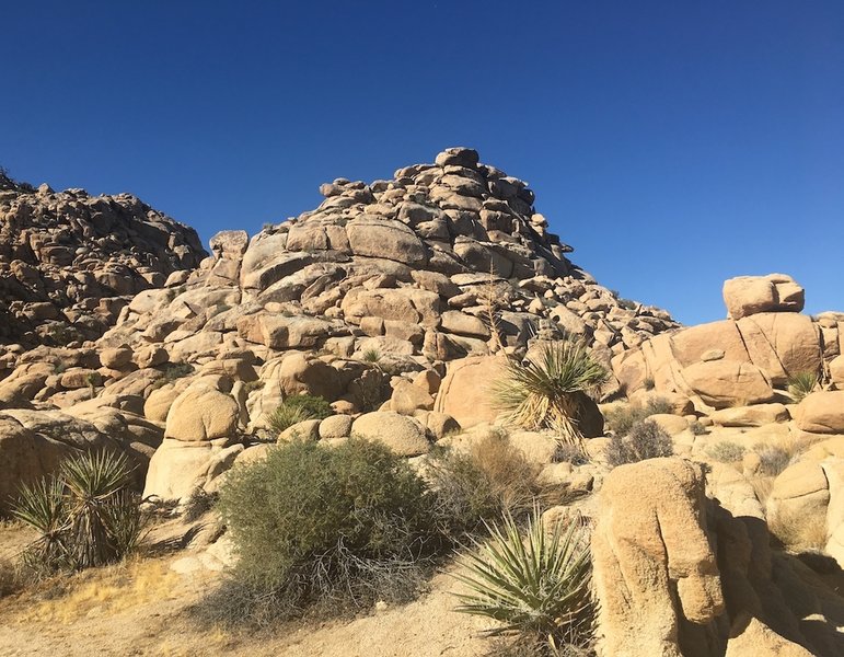 View from Maze Loop trail.