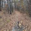 Trail is short, paved, and ideal for pets and runners.