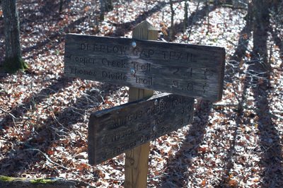 The Mingus Creek Trail where it intersects with the Deeplow Gap Trail.  This area is typical of the dry ridges found in the Smokies.