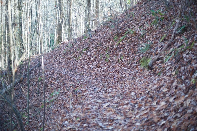 The Mingus Creek Trail is narrow in places, and can be covered in leaves in the Fall, as shown in this photo.