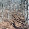 The trail can appear to be lost in the leaves in the fall.  The leaves are dry up on the ridgelines.