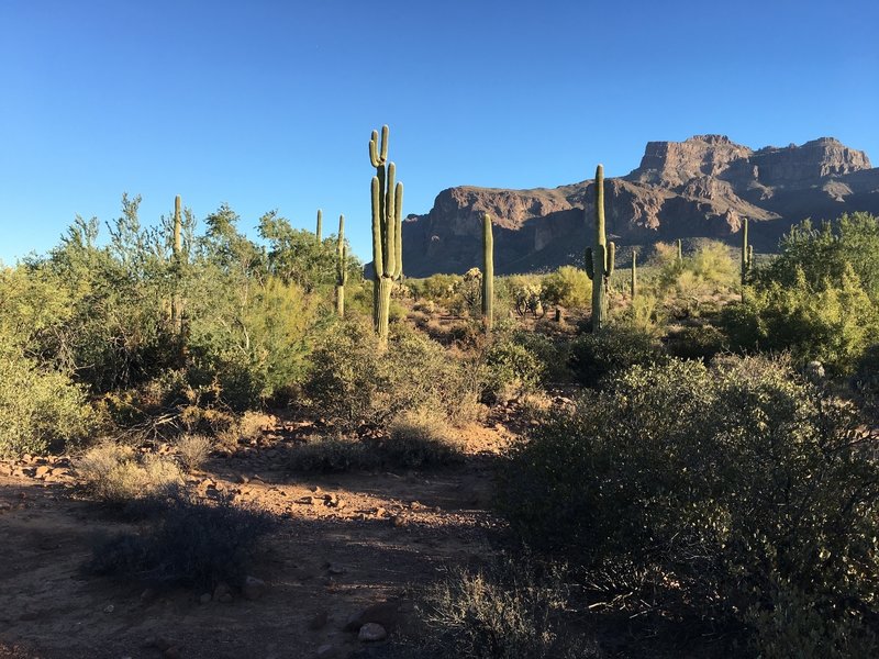 This is the beginning of the Trail at the Broadway trailhead