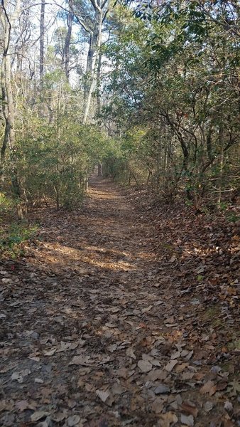 Raven Rock Loop