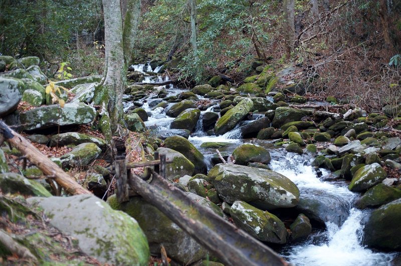 Leconte Creek flows along the mill, providing power to the mill. You can see the log used to divert water from the creek into the mill.