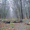 At this point, the trail runs along the old road that use to run up to the farm.