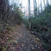 One of the steeper sections of the trail that climbs away from the falls back up toward the ridge.