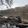 View of the Cape Fear River