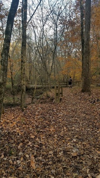 Manmade rails along Little Creek