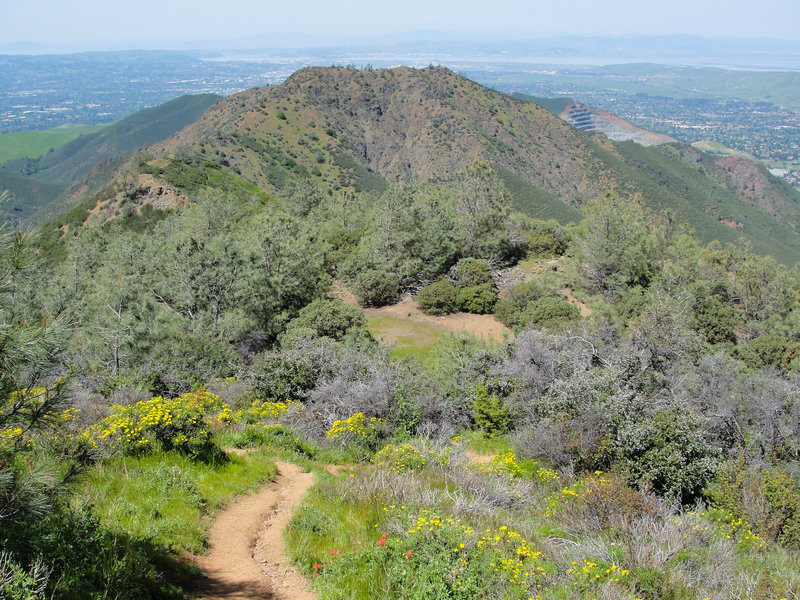 Looking down at Eagle Peak from Bald Ridge Trail