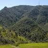 Looking up toward Mount Diablo from Bald Ridge Trail