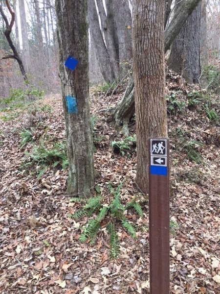 Blue blazing: blue triangles, cyan-blue paint and blue trail markers