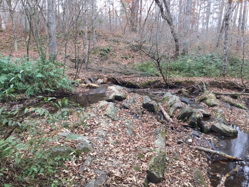 The trail crosses small creeks at several places