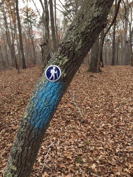 At some locations the trail is blazed with round blue markers with an icon of a hiker
