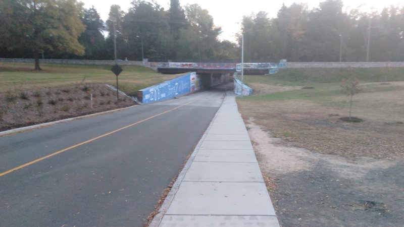 View of expression tunnel