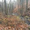 View down Little Amicalola Creek to the Reflecting Pond