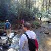 Creek Crossing on Pulliam Creek Trail