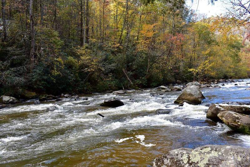 The Green River along Green River Cove Trail