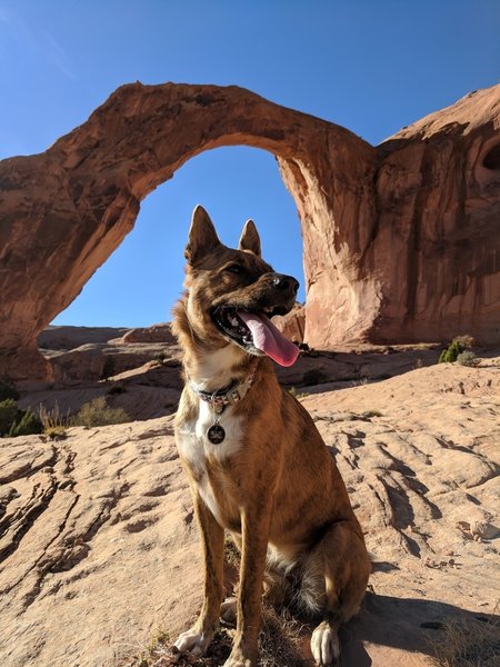 At the end of the Corona Arch Trail.