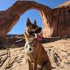 At the end of the Corona Arch Trail.