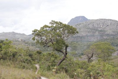 Trail to Tempo perdido waterfall and Itambe peak behind
