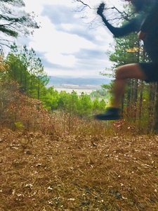 A view of Gaston Mountain