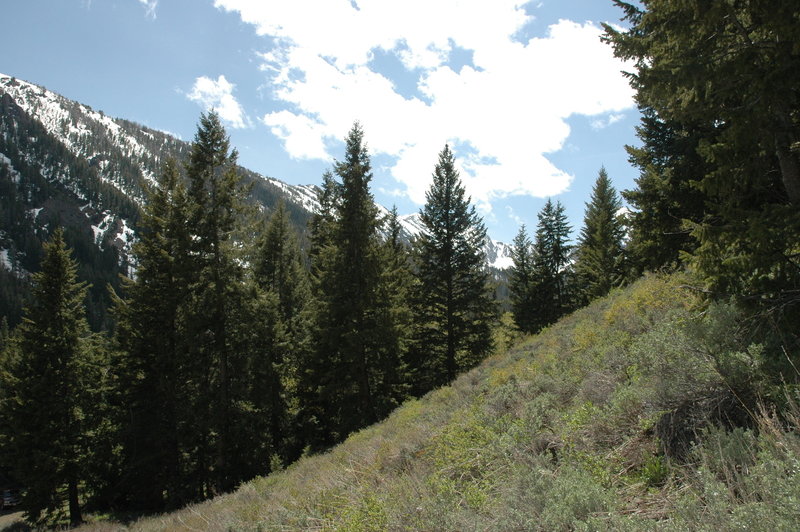 Looking up Iron Bog Creek drainage