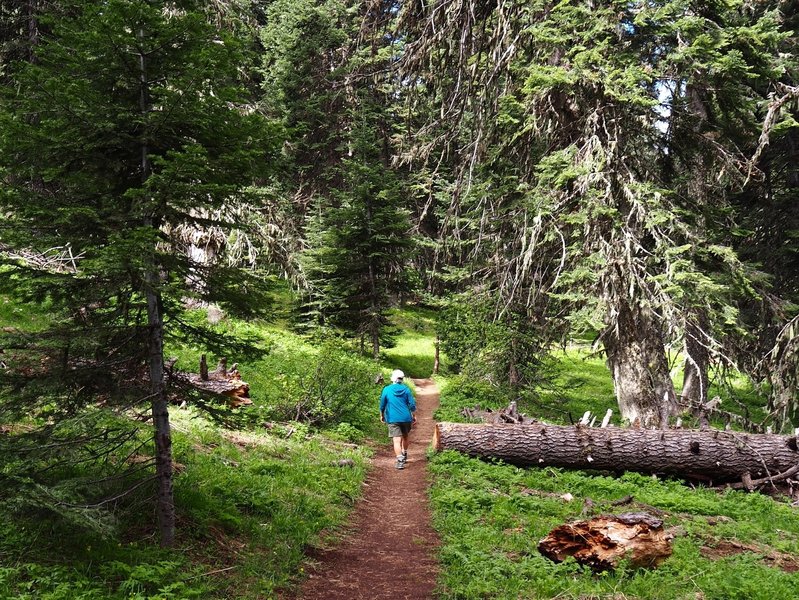 On the lower part of the trail