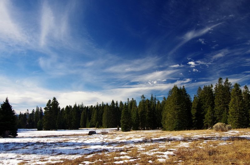 Passing one of the larger meadows in early winter