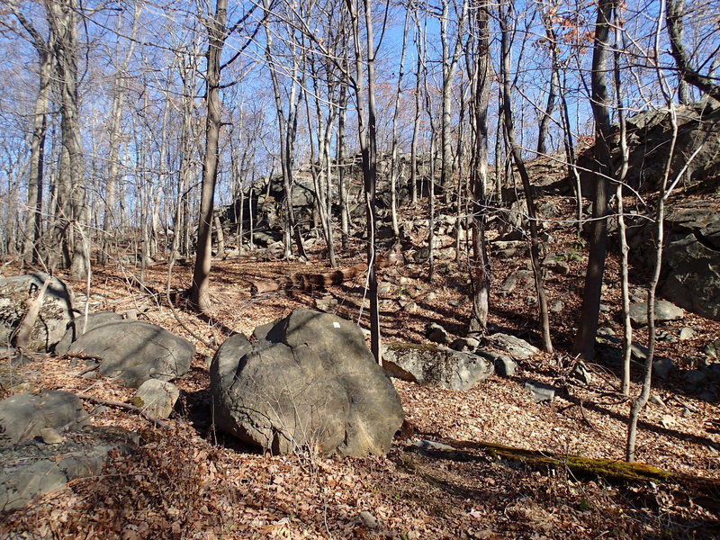 Access point to Four Birds Trail from Split Rock Road