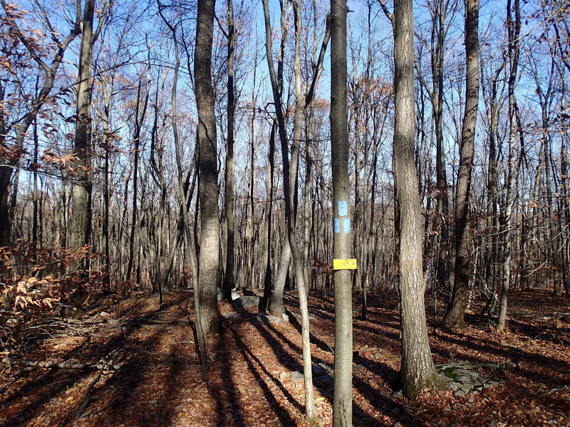 Trail junction with Four Birds Trail and Split Rock Trail