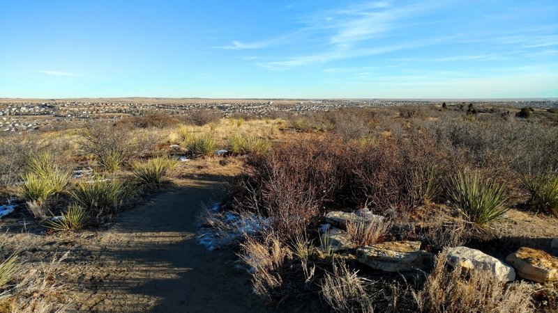 View south from the Chaparral overlook.