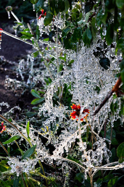 Icicles in Winter: Icicles in early december. Christmas Valley 2009