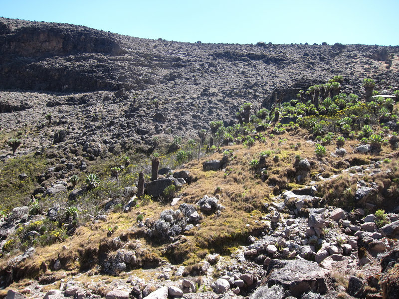 Views along the trail.