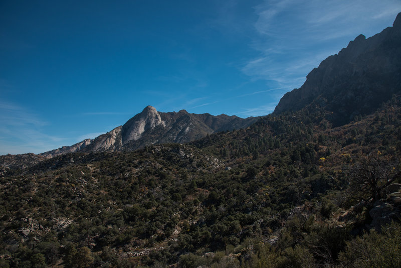 Pine Tree Trail looking south