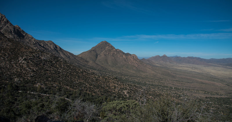 Pine Tree Trail looking north