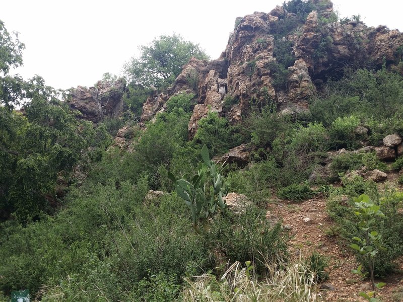 A view of the Krokodilberg trail hospital cave rock face.