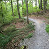 Central Hardwoods Scenic Trail