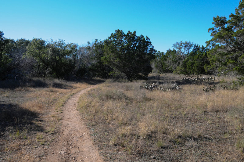 A typical scene along the Pack Trail