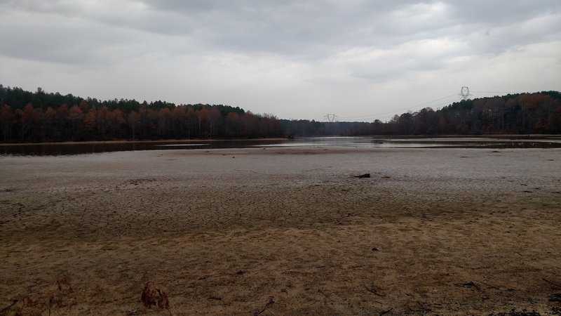 View looking left from the boardwalk by Little Lick Creek Bridge.