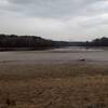 View looking left from the boardwalk by Little Lick Creek Bridge.