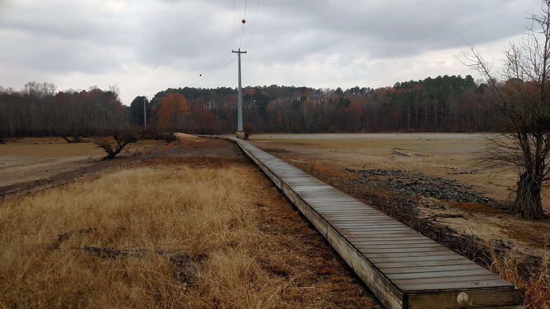 Looking back at the boardwalk from Little Lick Creek Bridge