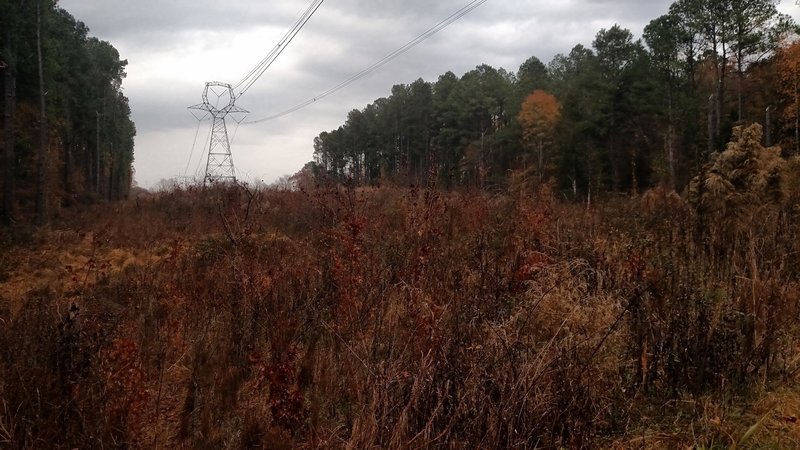 Crossing under power lines