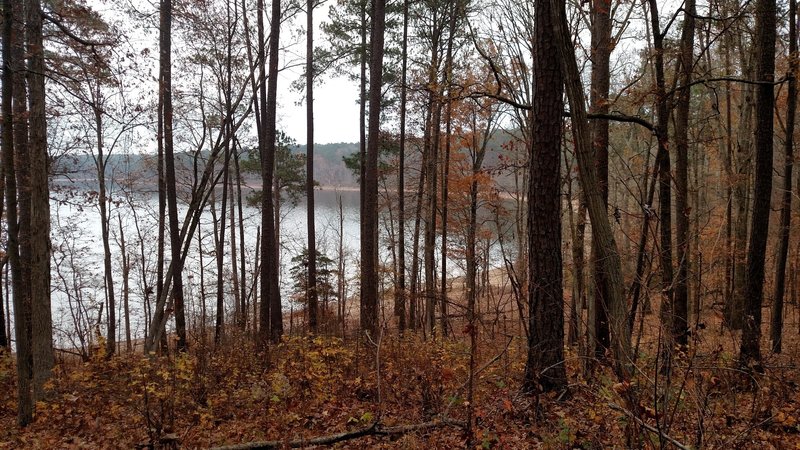 Looking down at the Lake from MST